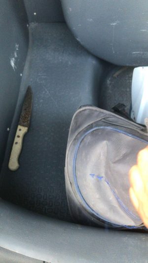 Homem estava ameaçando passageiros do transporte coletivo com uma faca. Foto: Ascom Semscs