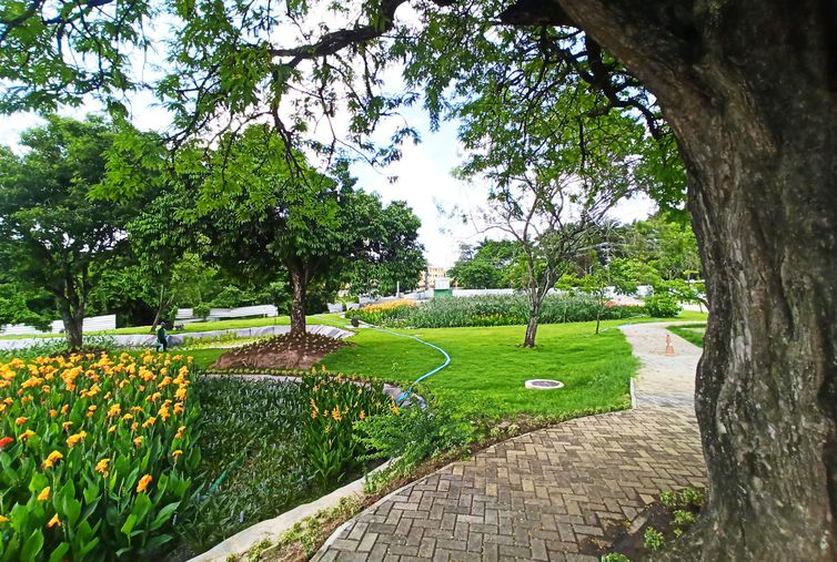 Recife (PE) - Despoluição do riacho do Cavouco, afluente do Rio Capibaribe (PE). Jardins Filtrantes (foto inicio de março). Foto: Giselle Cahú Aries/CITinova