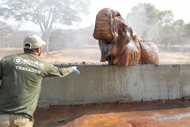 17/09/2024 - Frescor em meio à seca: os cuidados do Zoológico de Brasília com os animais