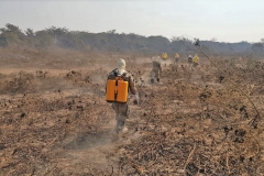 Ações de combate aos incêndios florestais no Pantanal