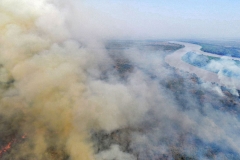 Ações de combate aos incêndios florestais no Pantanal