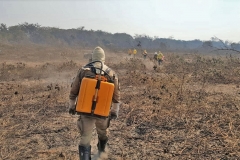 Ações de combate aos incêndios florestais no Pantanal
