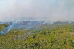 Ações de combate aos incêndios florestais no Pantanal