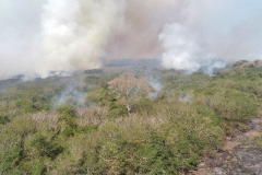 Ações de combate aos incêndios florestais no Pantanal