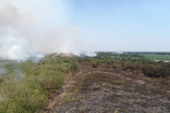 Ações de combate aos incêndios florestais no Pantanal