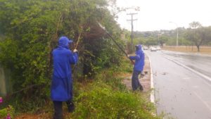 Foto: Divulgação/GDF Presente