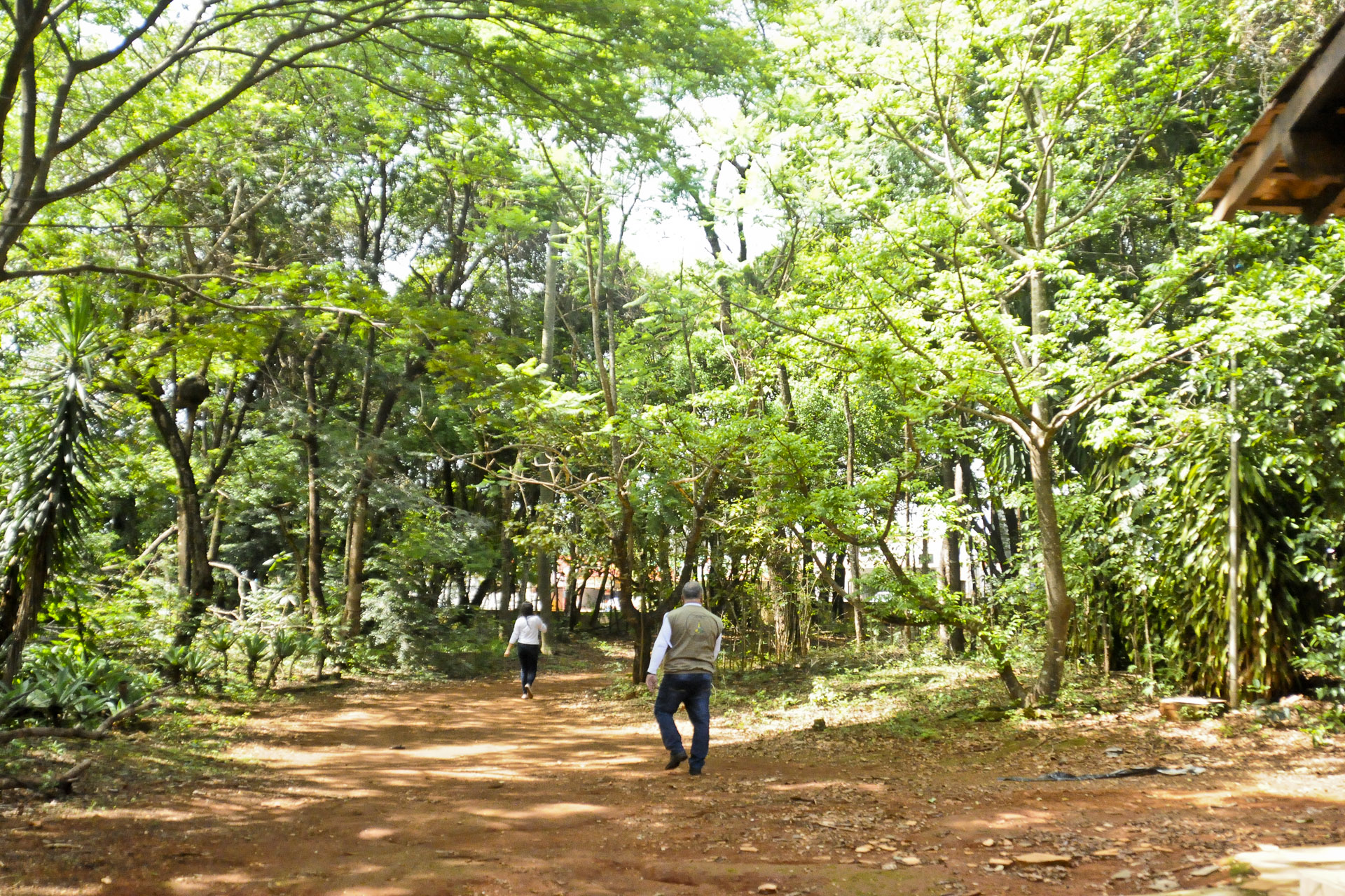 Foto: Geovana Albuquerque / Agência Brasília