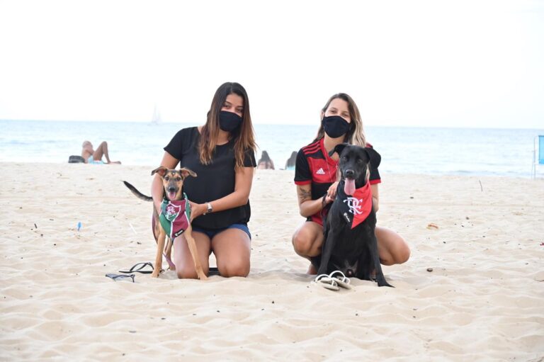 Animais abandonados fazem golaço no primeiro clássico do Campeonato Carioca