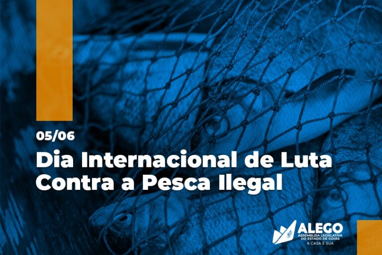 5 de junho: Dia Internacional da Luta contra a Pesca Ilegal. Alego discute iniciativas que reforçam o intuito da data