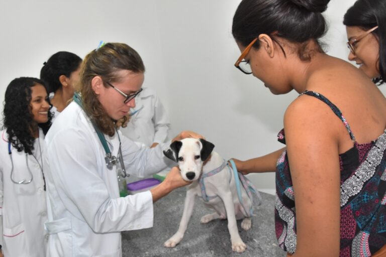 Governo contabiliza mais de 1.400 cadastros para consulta no Mais Saúde Animal. Ouça: