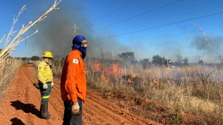 Confira a segunda chamada para brigadistas florestais