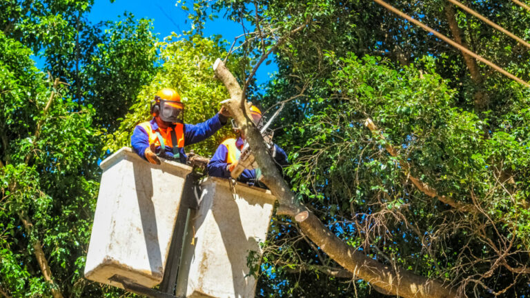 Falta de energia atinge área rural nesta sexta (30)