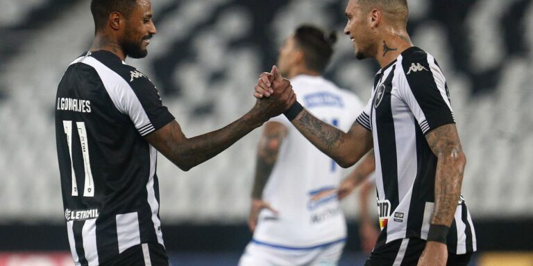 Botafogo vence CSA em jogo atrasado da 6ª rodada da Série B
