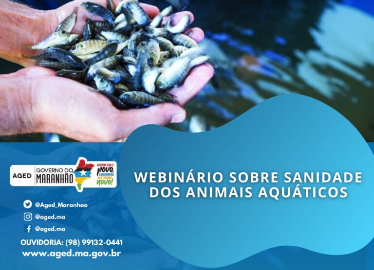 AGED realiza Webnário sobre Sanidade dos Animais Aquáticos