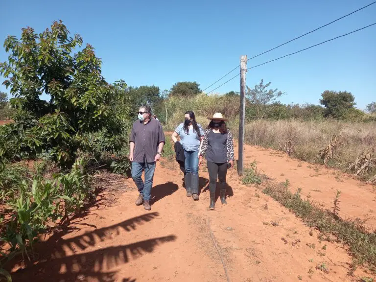 Agrofloresta melhora vida de agricultores no Descoberto e Paranoá