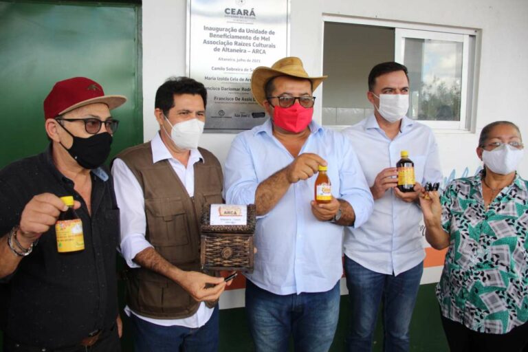 Altaneira: mandiocultura e apicultura ganham reforços após ações dos projetos São José e Paulo Freire