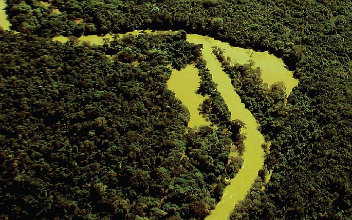 Artigo do governador: A Amazônia viva