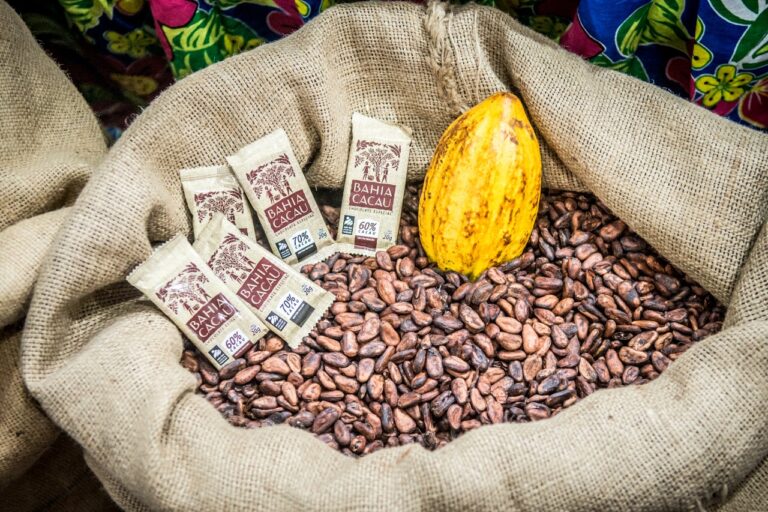 Agricultura Familiar celebra Dia Mundial do Chocolate com assistência técnica direcionada para cacauicultura