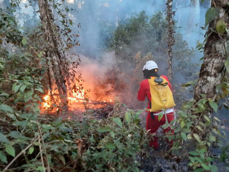 Combate a incêndios florestais recebe apoio do sindicato de postos de combustíveis