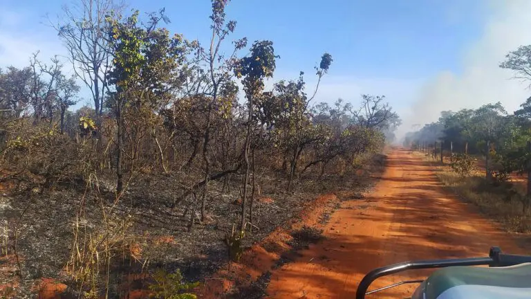 Concluído aceiro negro de 30 km na estação de Águas Emendadas
