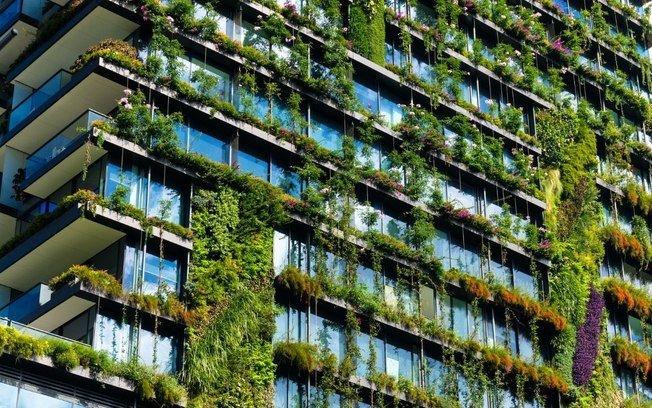 Construções sustentáveis: tudo o que você precisa saber sobre o futuro da arquitetura
