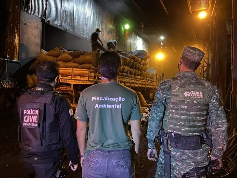 Governo realiza Operação Lastro para combater comércio ilegal de carvão