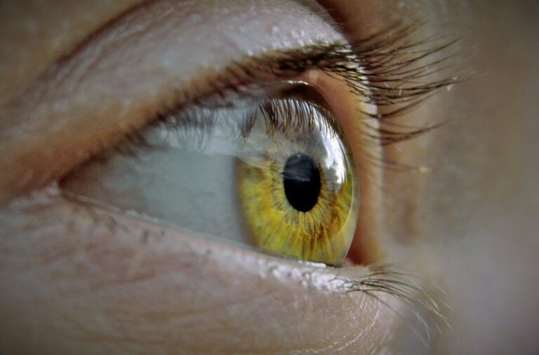 Dia Mundial da Saúde Ocular alerta para a prevenção de doenças visuais 