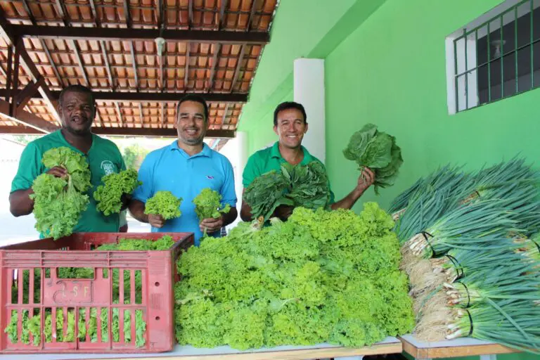Programa de Aquisição de Alimentos destina mais de R$ 6 milhões para segurança alimentar na Bahia