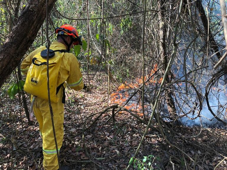 Podcast sobre Operação Corta-Fogo mostra trabalho para combater incêndios florestais