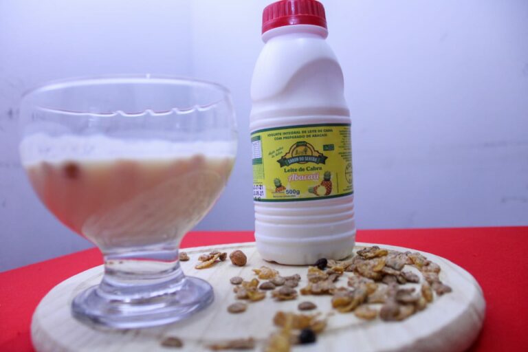 Produção de iogurte de leite de cabra gera renda para famílias de Curaçá