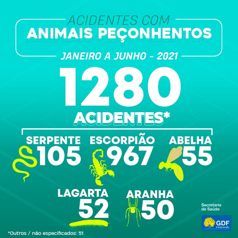 Quase 1,3 mil acidentes com animais peçonhentos no DF