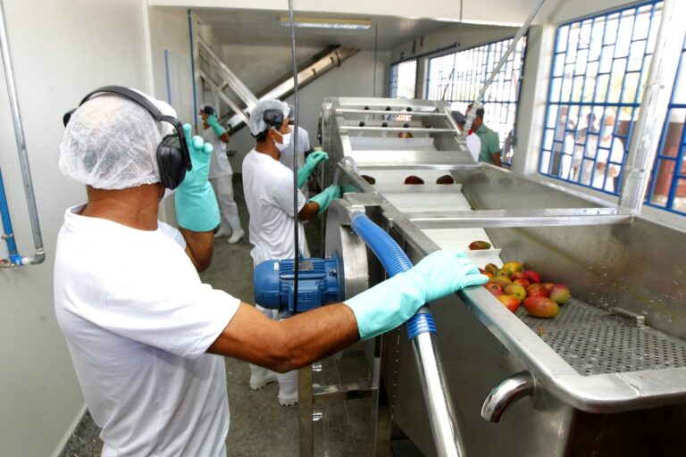 Sobradinho recebe agroindústria para processamento de duas mil toneladas de frutas por ano