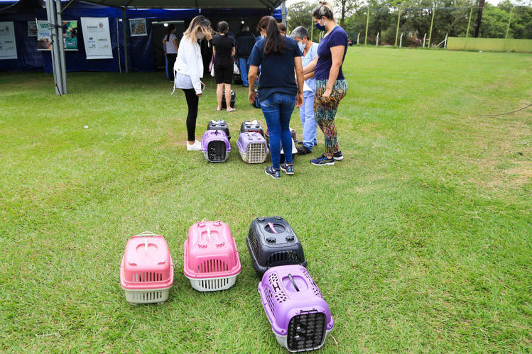 Municípios de Roncador e Iretama recebem o programa CastraPet