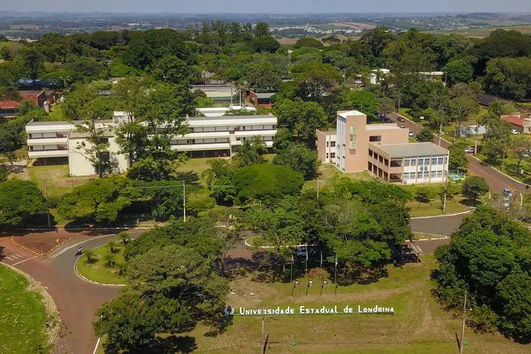 UEL mantém atividades acadêmicas em formato remoto até 16 de dezembro
