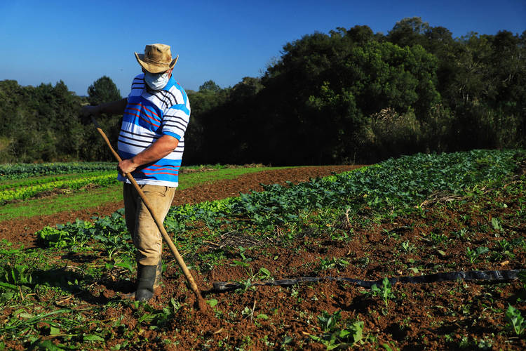 Secretaria da Agricultura publica resultado da análise documental do Coopera Paraná