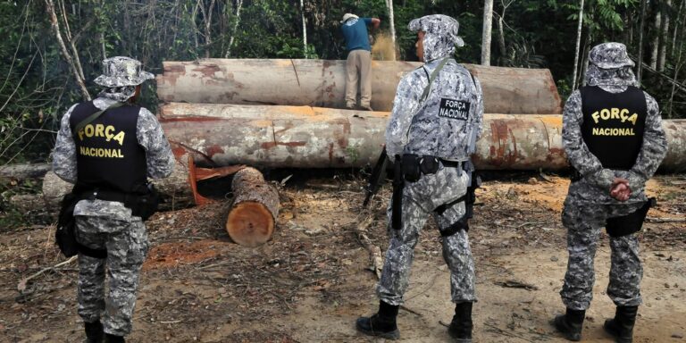 Governo autoriza Forças Armadas a combater desmatamento em Mato Grosso