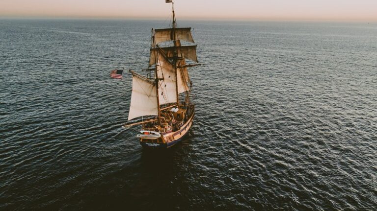 The Pirate Bay é derrubado por pirataria em operação policial