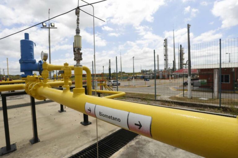 Gás Natural Renovável distribuído pela Cegás diversifica a matriz energética cearense