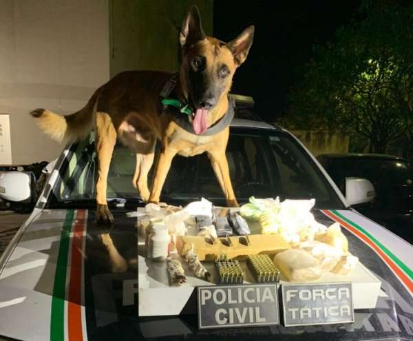 Ação conjunta com auxílio de cão farejador resulta nas apreensões de drogas e munições de fuzil
