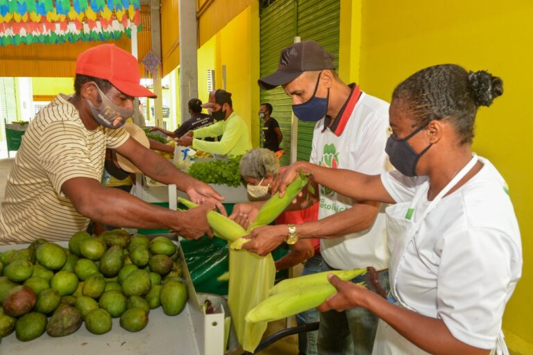 Agricultura familiar celebra Dia do Feirante com ações para melhorar a comercialização de produtos