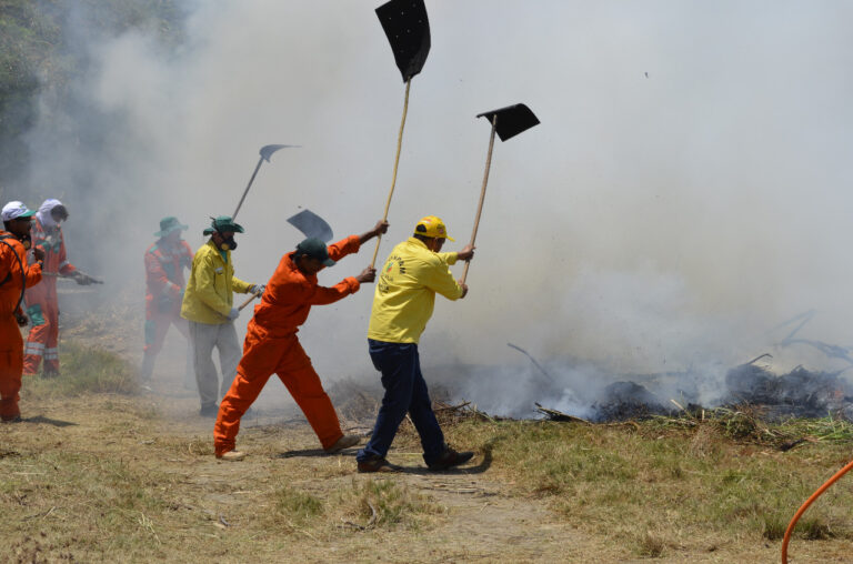 Aprovada na Assembleia a contratação de brigadistas temporários para combate a incêndios no Ceará