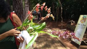 Feira de orquídeas no Jardim Botânico