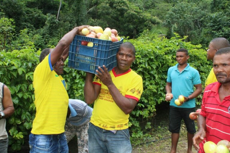 Governo divulga resultado do Programa de Compras da Agricultura Familiar, que beneficiará quilombolas e indígenas