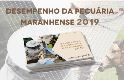 Imesc lança estudo sobre o desempenho da pecuária maranhense em 2019