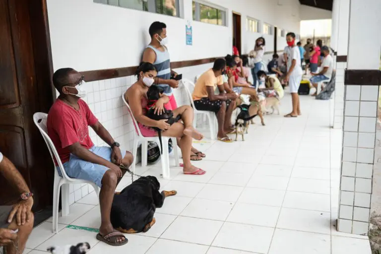 Mais de 38% dos cachorros testados no Mais Saúde animal no Coroadinho foram diagnosticados com calazar