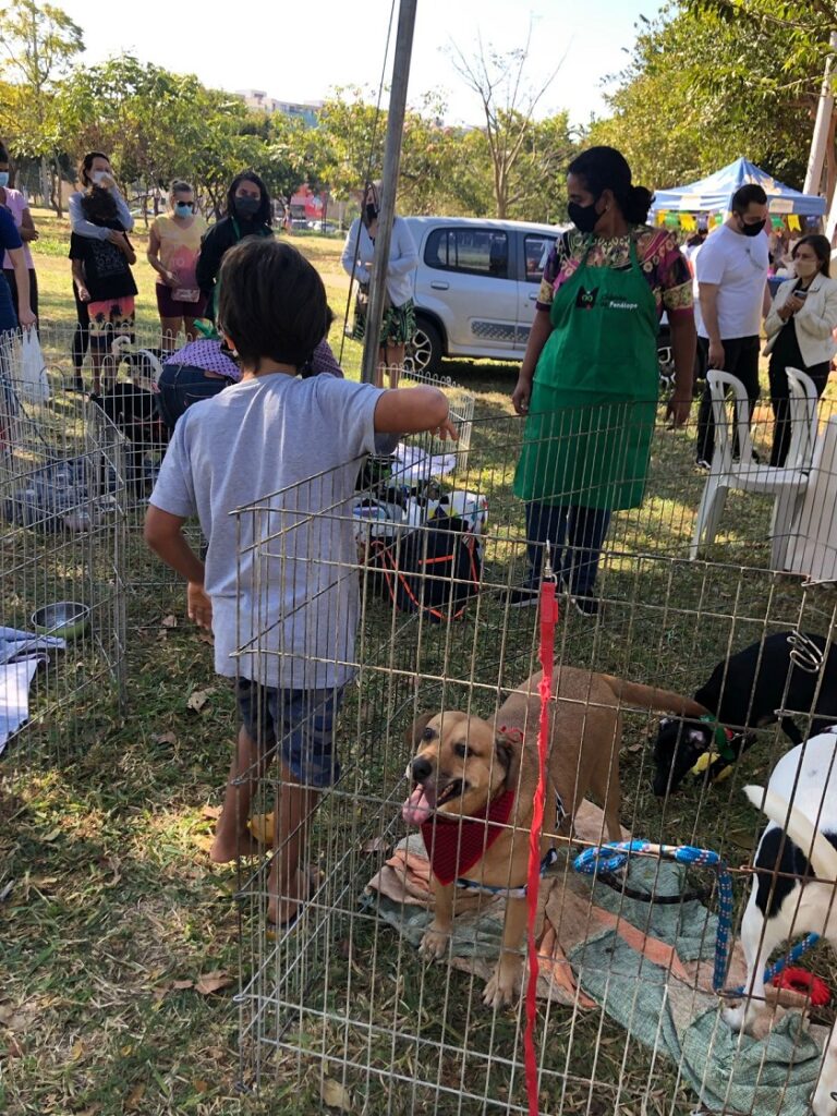 Parque Bosque do Sudoeste ganha um novo espaço para pets