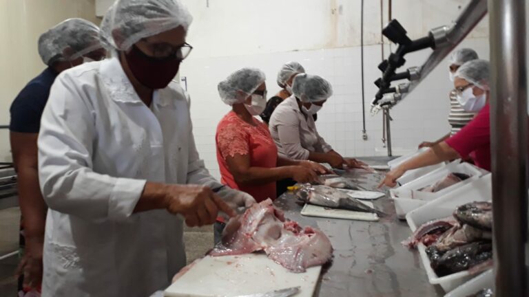 Pescadoras artesanais de Itiúba participam de oficina de beneficiamento de peixes