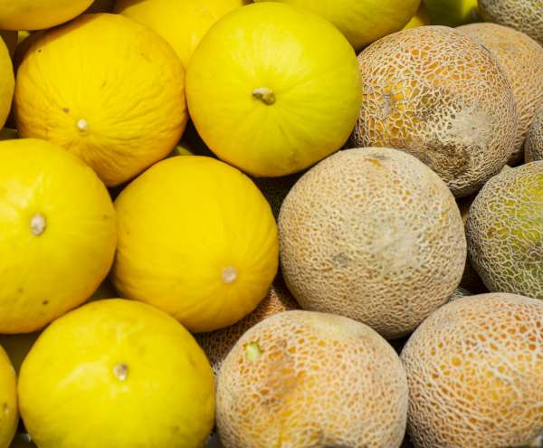 Semana encerra com queda no preço do melão amarelo na Ceasa Cariri