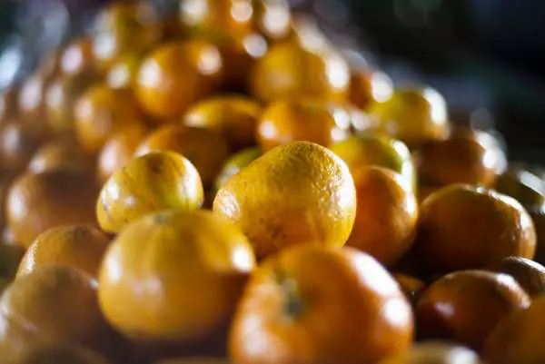Tangerina murkot a R$ 2,20/kg na Ceasa Cariri