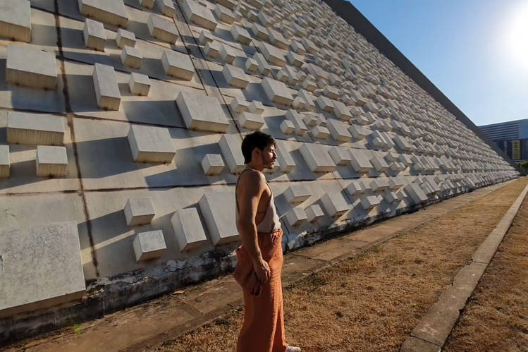 Balé Teatro Guaíra lança projeto de videodança Birds